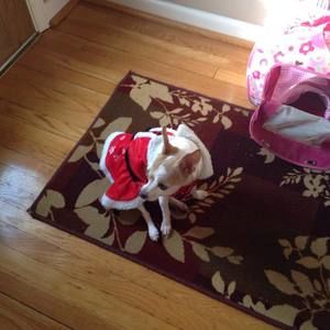 Meet your Posher, Sue